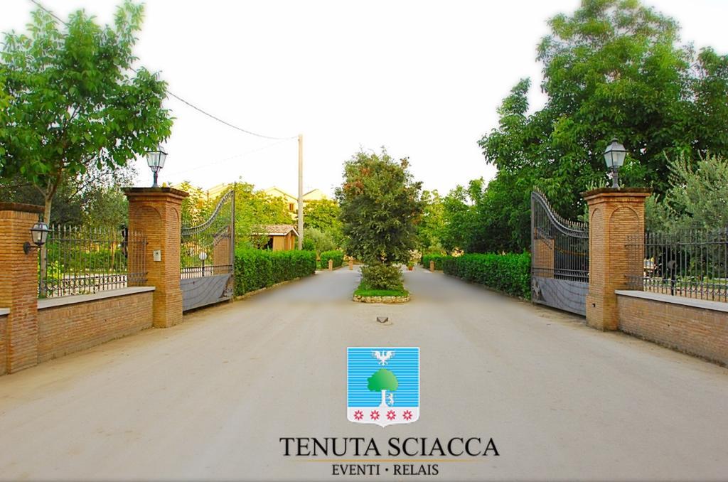 Tenuta Sciacca Villa Falciano del Massico Eksteriør bilde