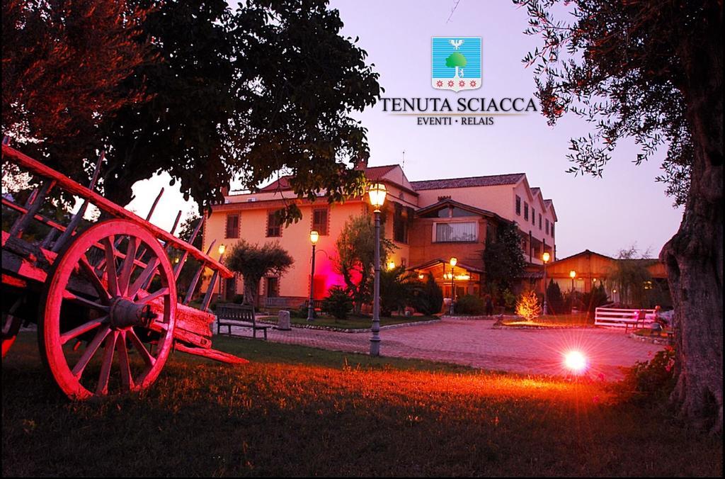 Tenuta Sciacca Villa Falciano del Massico Eksteriør bilde
