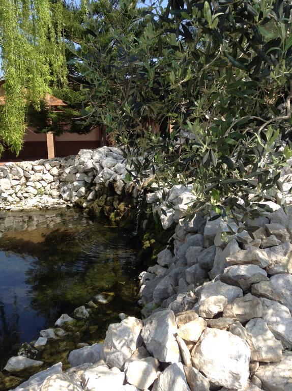Tenuta Sciacca Villa Falciano del Massico Eksteriør bilde