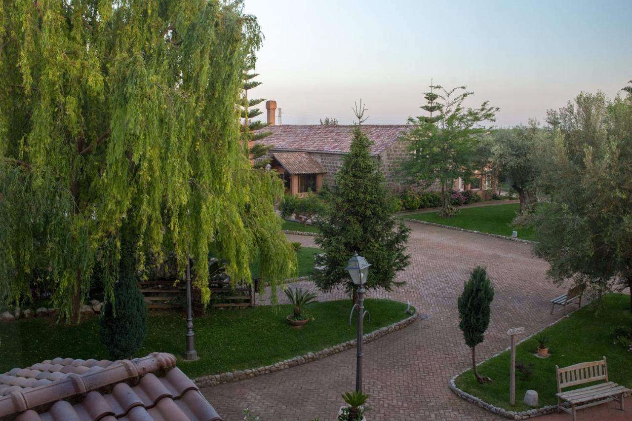 Tenuta Sciacca Villa Falciano del Massico Eksteriør bilde